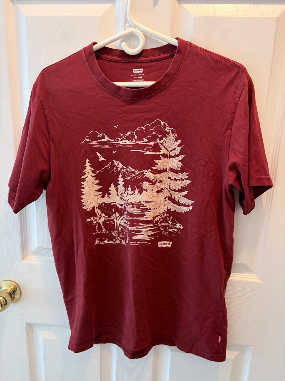 Levi's Men's Burgundy Nature Graphic Short Sleeve Tee